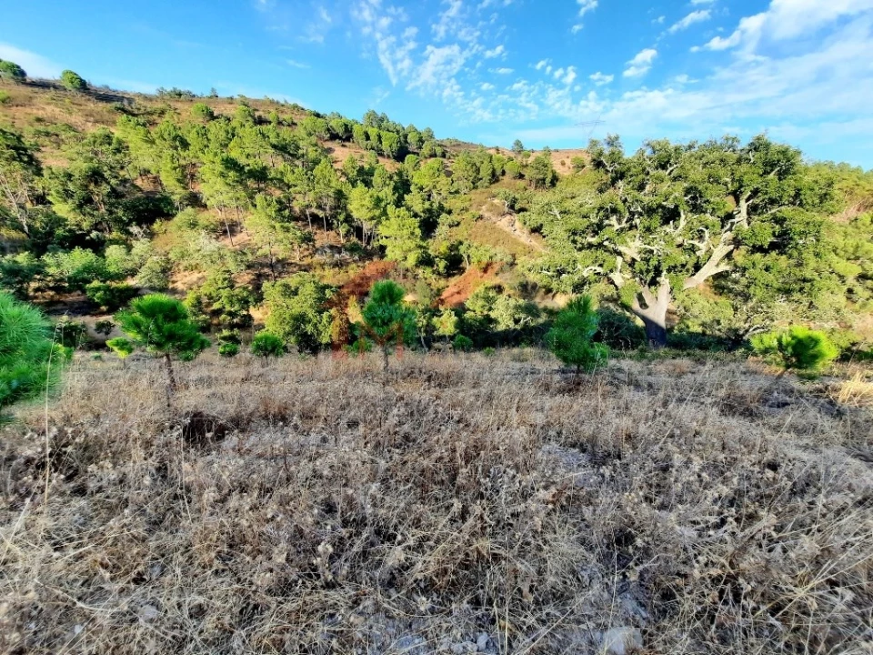 Terreno para Venda em Querença, Tôr e Benafim Foto 8