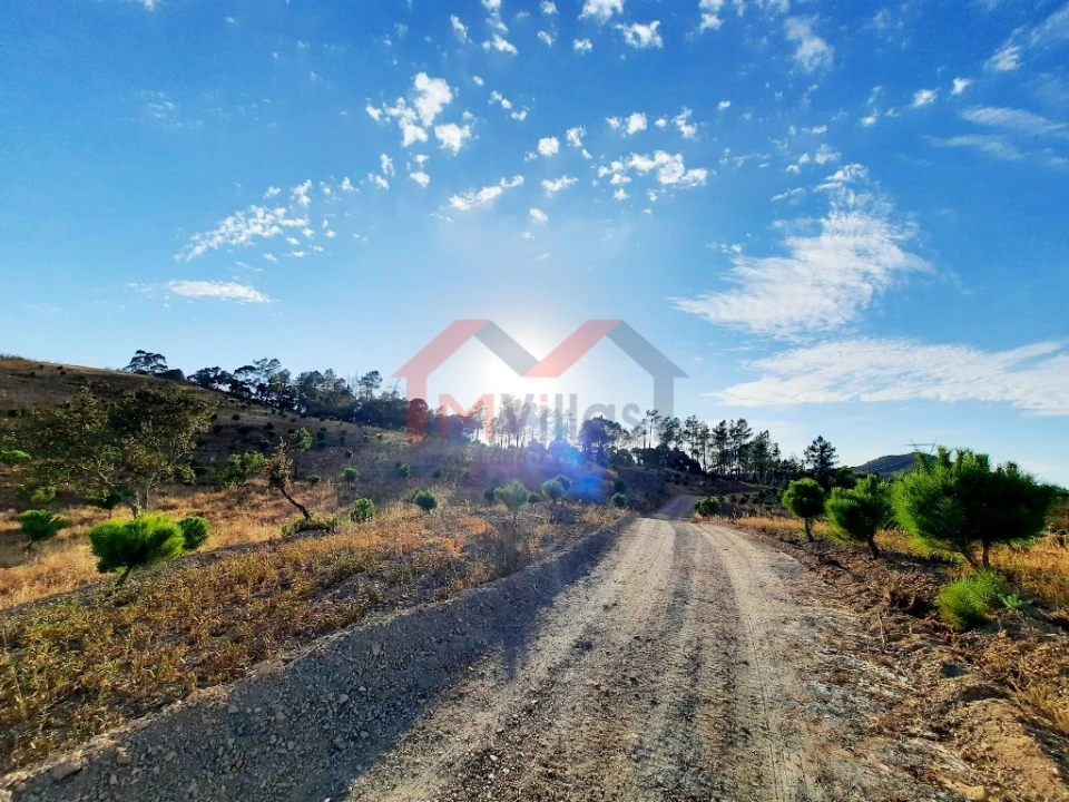 Terreno para Venda em Querença, Tôr e Benafim Foto 10