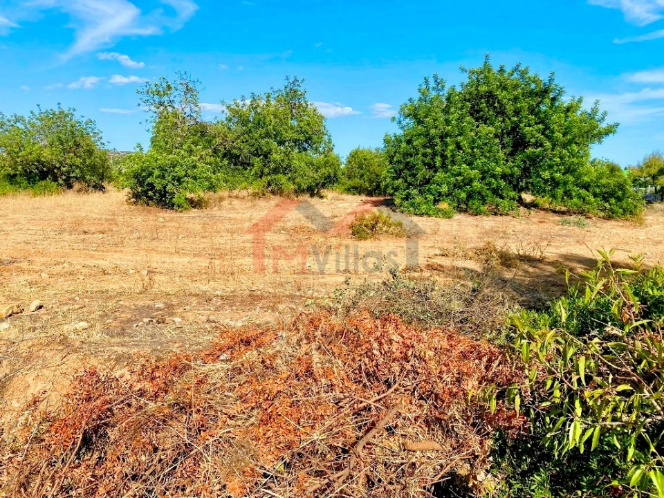 Terreno para Venda em Almancil Foto 3