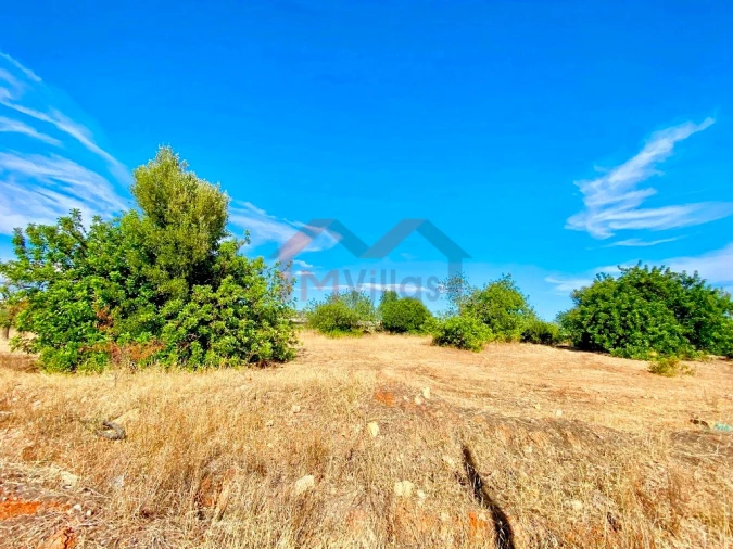Terreno para Venda em Almancil Foto 2