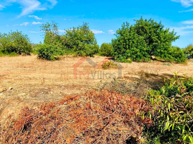 Terreno para Venda em Almancil Foto 3