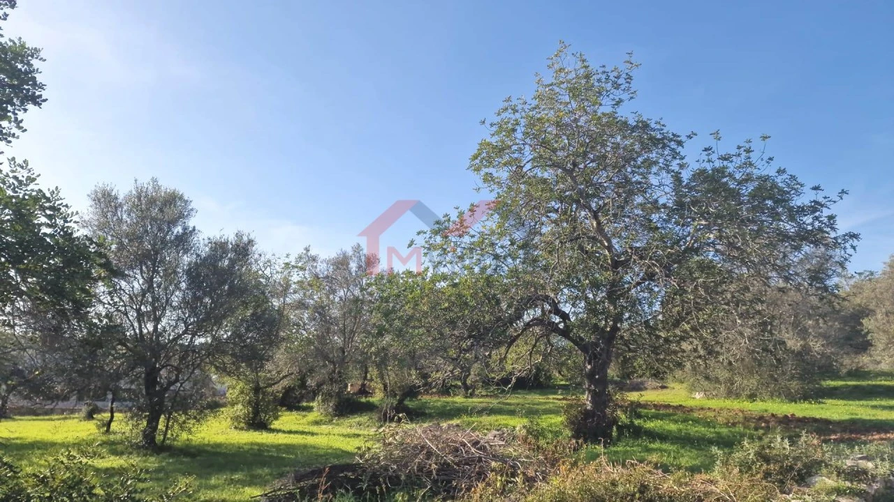 Terreno para Venda em São Brás de Alportel Foto 1
