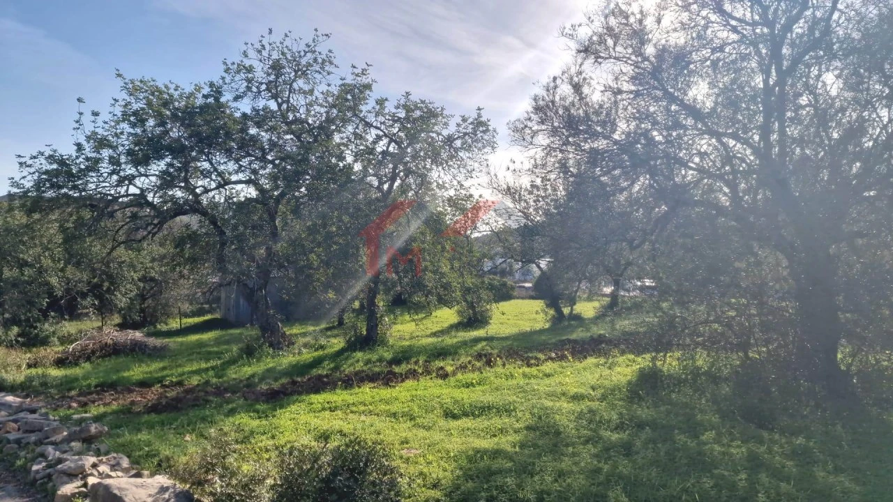 Terreno para Venda em São Brás de Alportel Foto 4