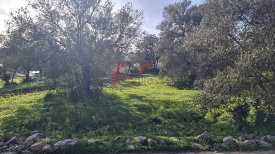 Terreno para Venda em São Brás de Alportel Foto 3