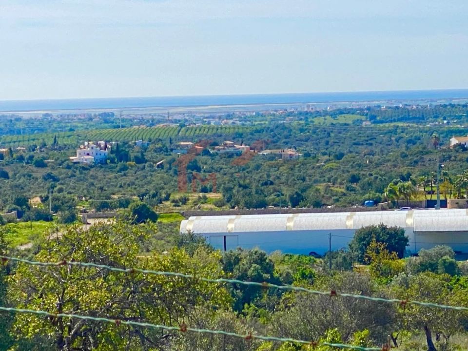 Moradia T3 para Venda em Conceição e Estoi Foto 15