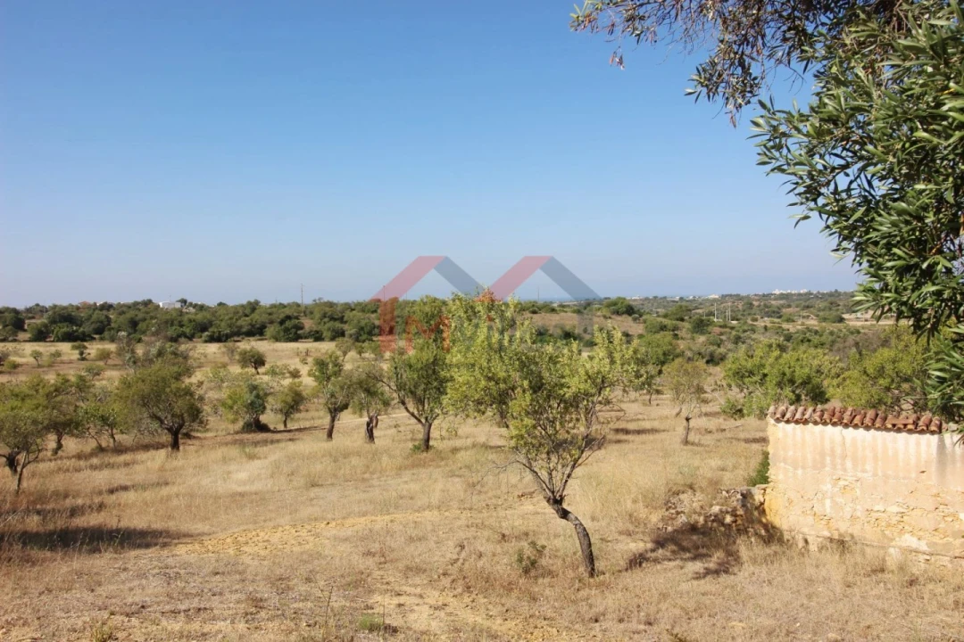 Moradia T4 para Venda em Algoz e Tunes Foto 5