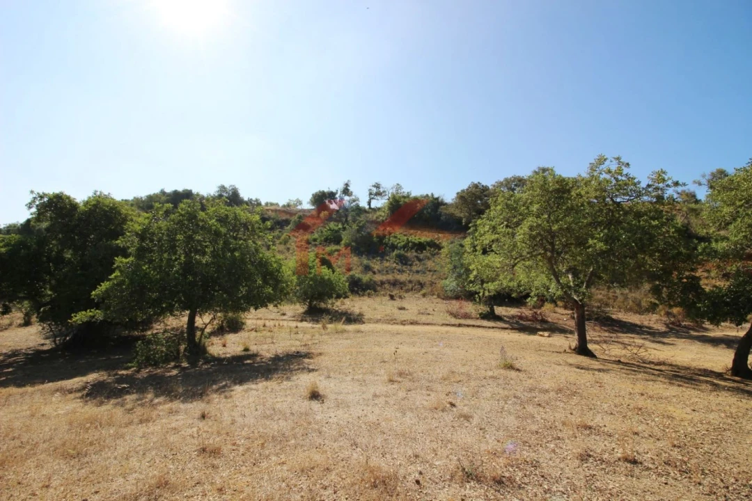 Moradia T4 para Venda em Algoz e Tunes Foto 9