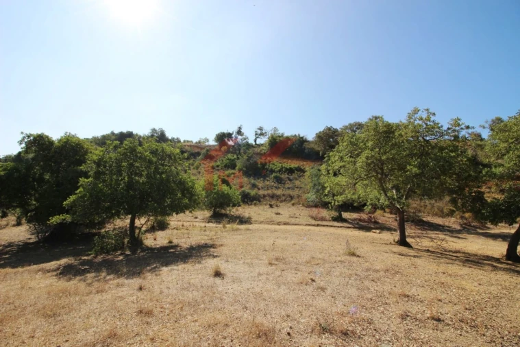 Moradia T4 para Venda em Algoz e Tunes Foto 9