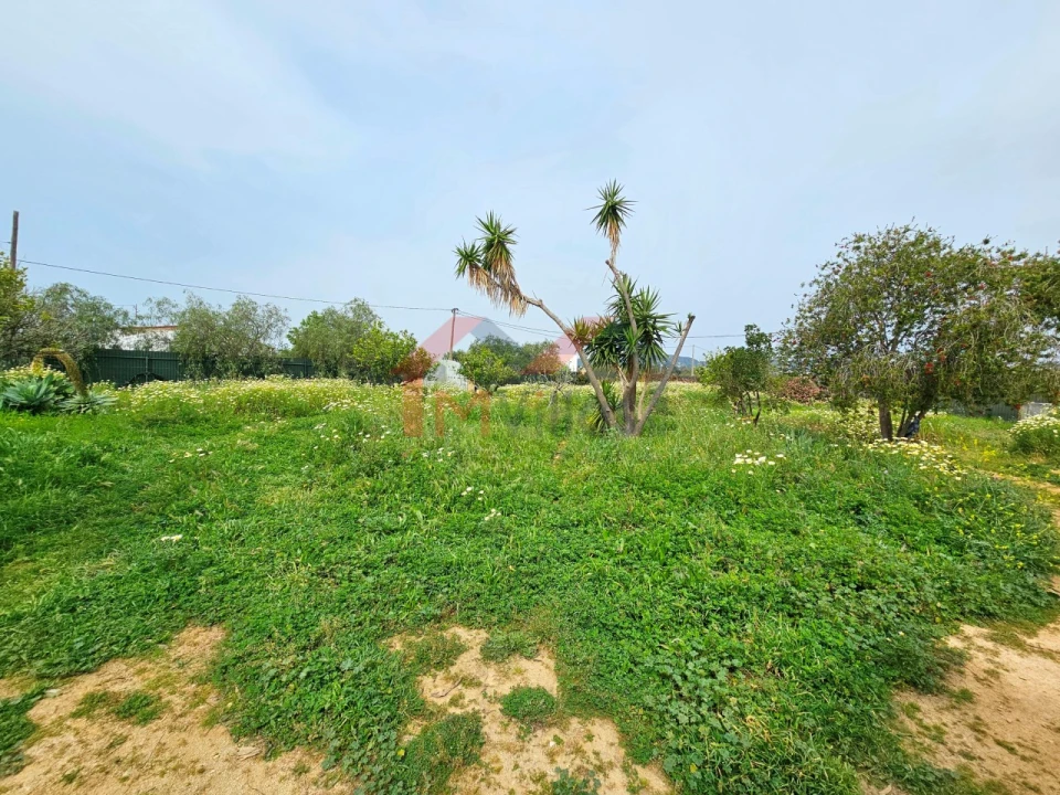 Moradia T3 para Venda em Santa Barbara de Nexe Foto 38