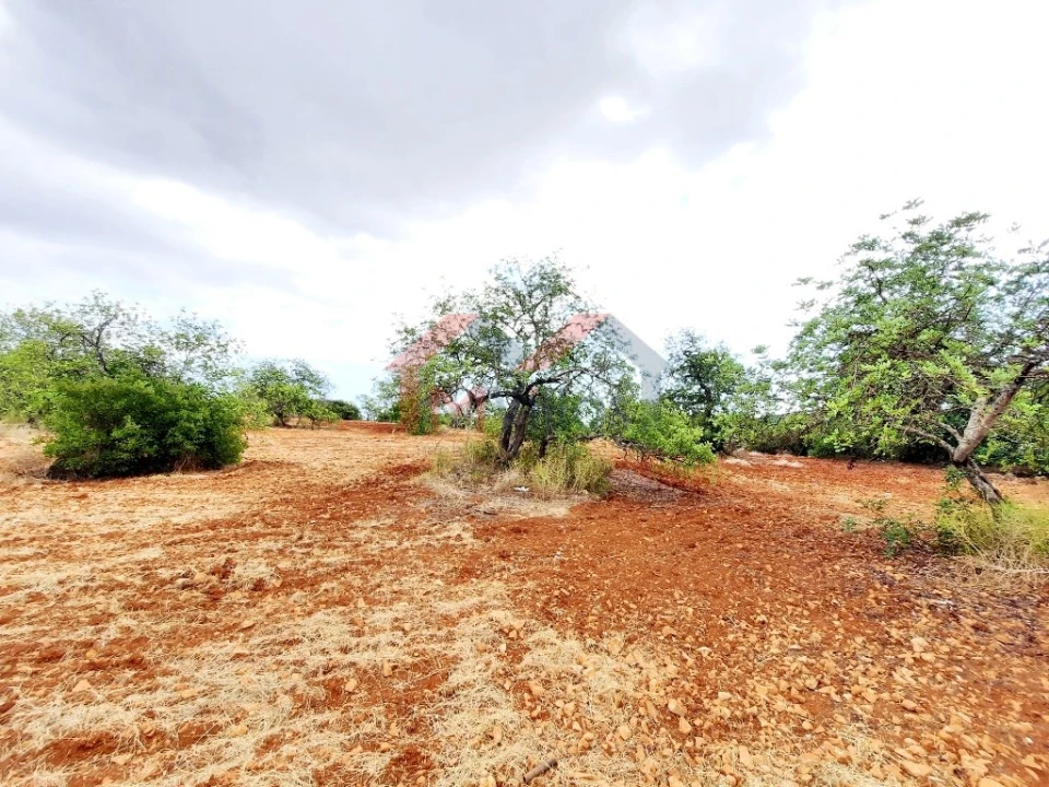Terreno para Venda em Almancil Foto 1