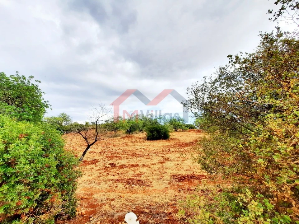 Terreno para Venda em Almancil Foto 2