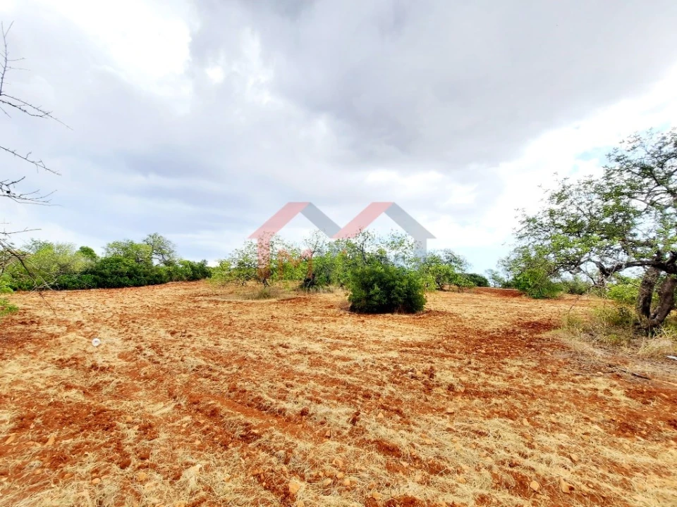 Terreno para Venda em Almancil Foto 3