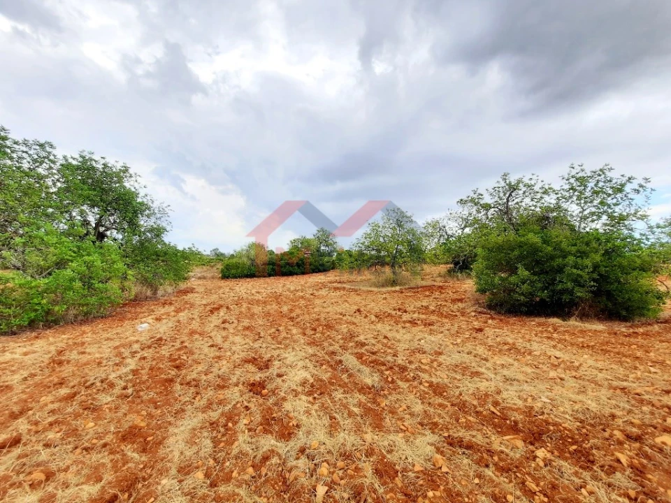 Terreno para Venda em Almancil Foto 4