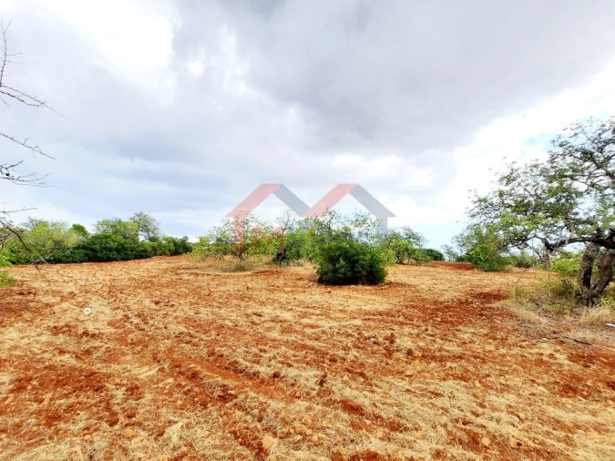 Terreno para Venda em Almancil Foto 3