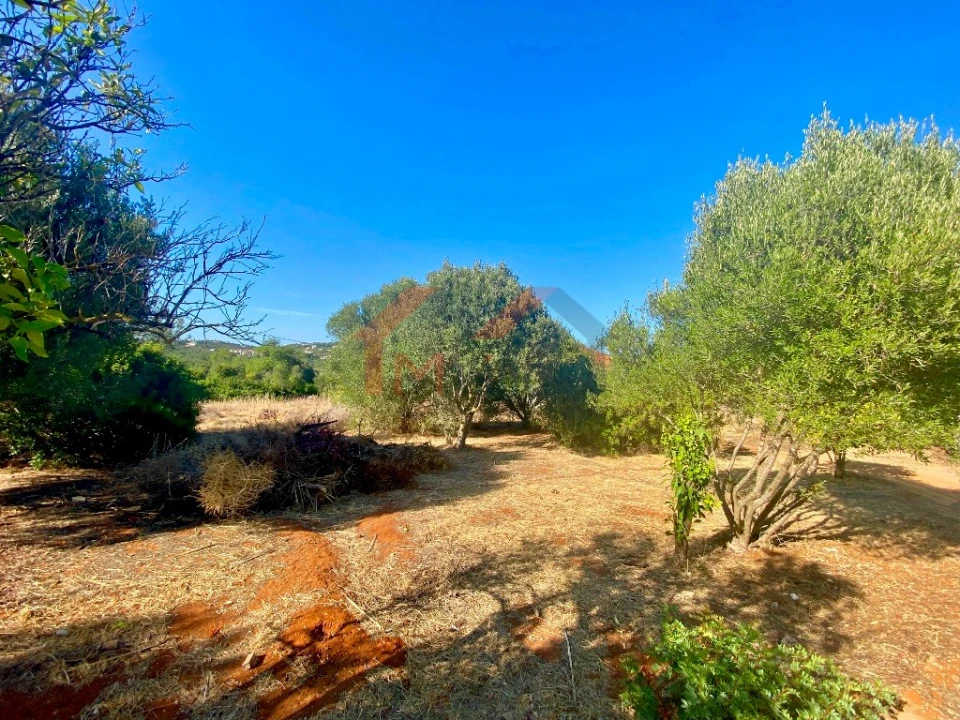 Terreno para Venda em Almancil Foto 10