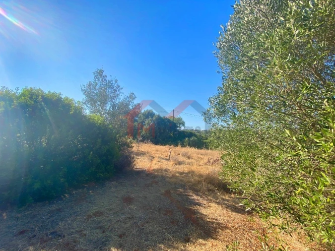 Terreno para Venda em Almancil Foto 9