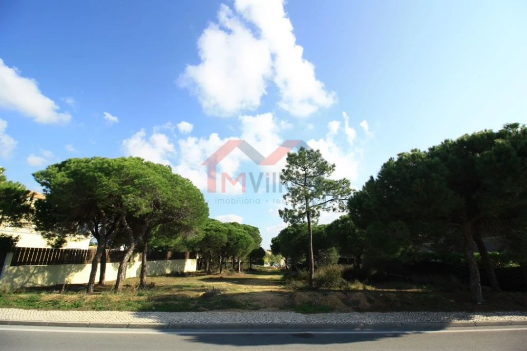 Terreno para Venda em Almancil Foto 1