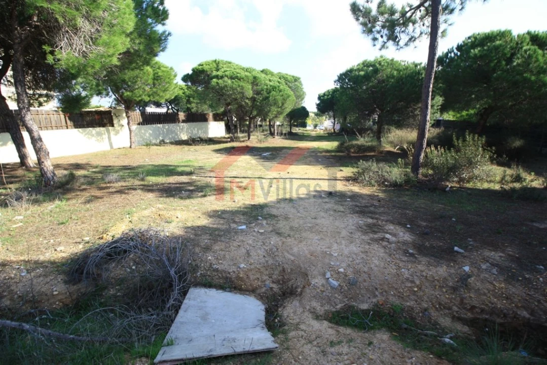 Terreno para Venda em Almancil Foto 2