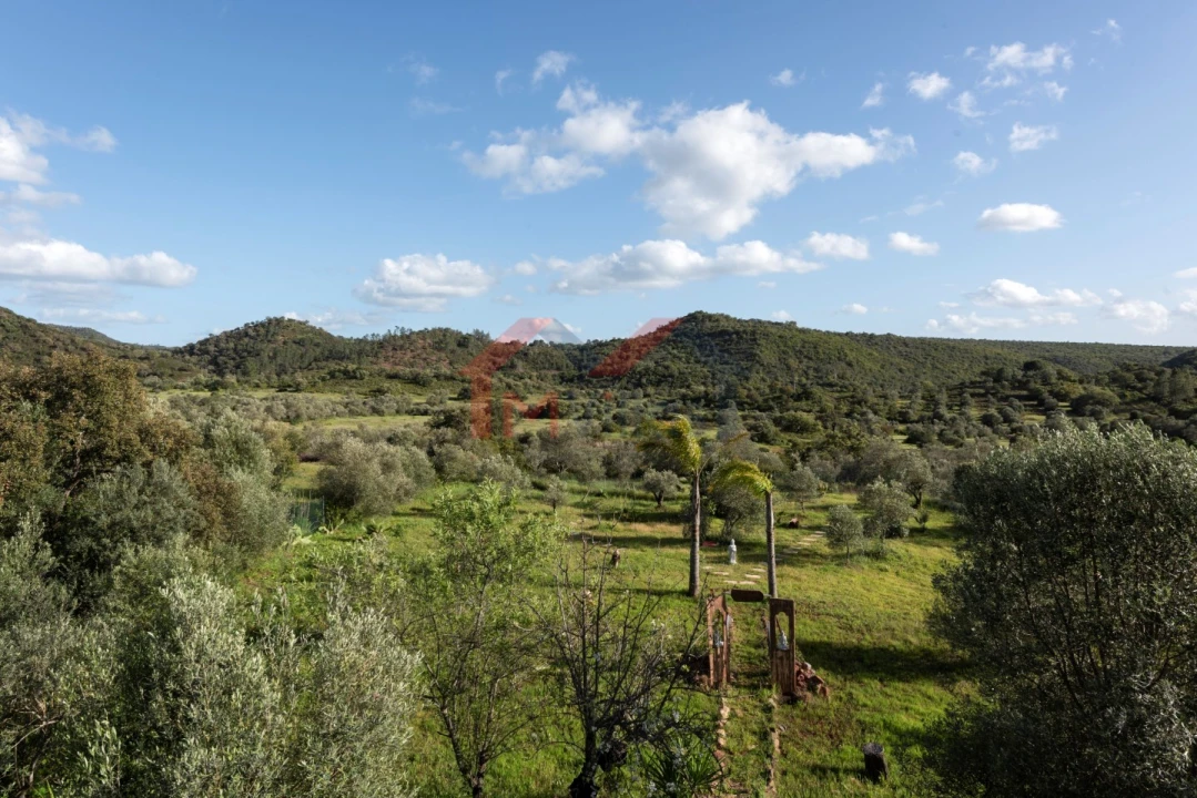 Moradia T4 para Venda em Salir Foto 41