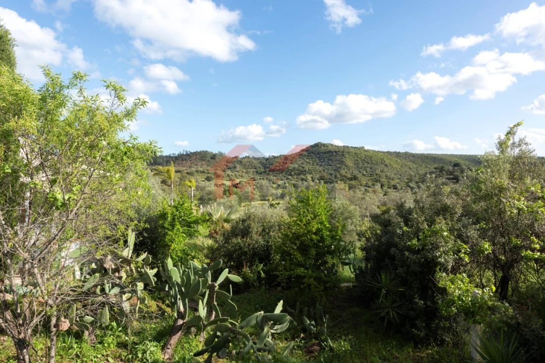 Moradia T4 para Venda em Salir Foto 42