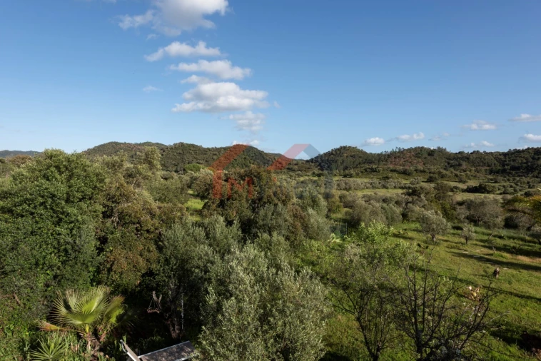 Moradia T4 para Venda em Salir Foto 40