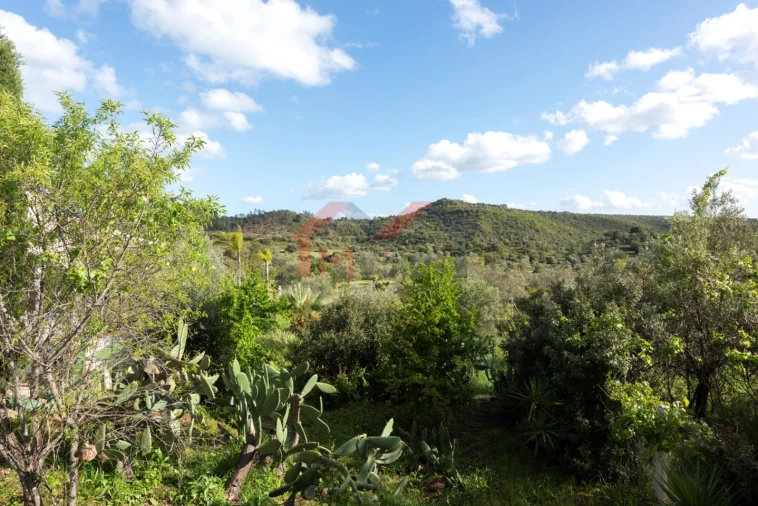 Moradia T4 para Venda em Salir Foto 42