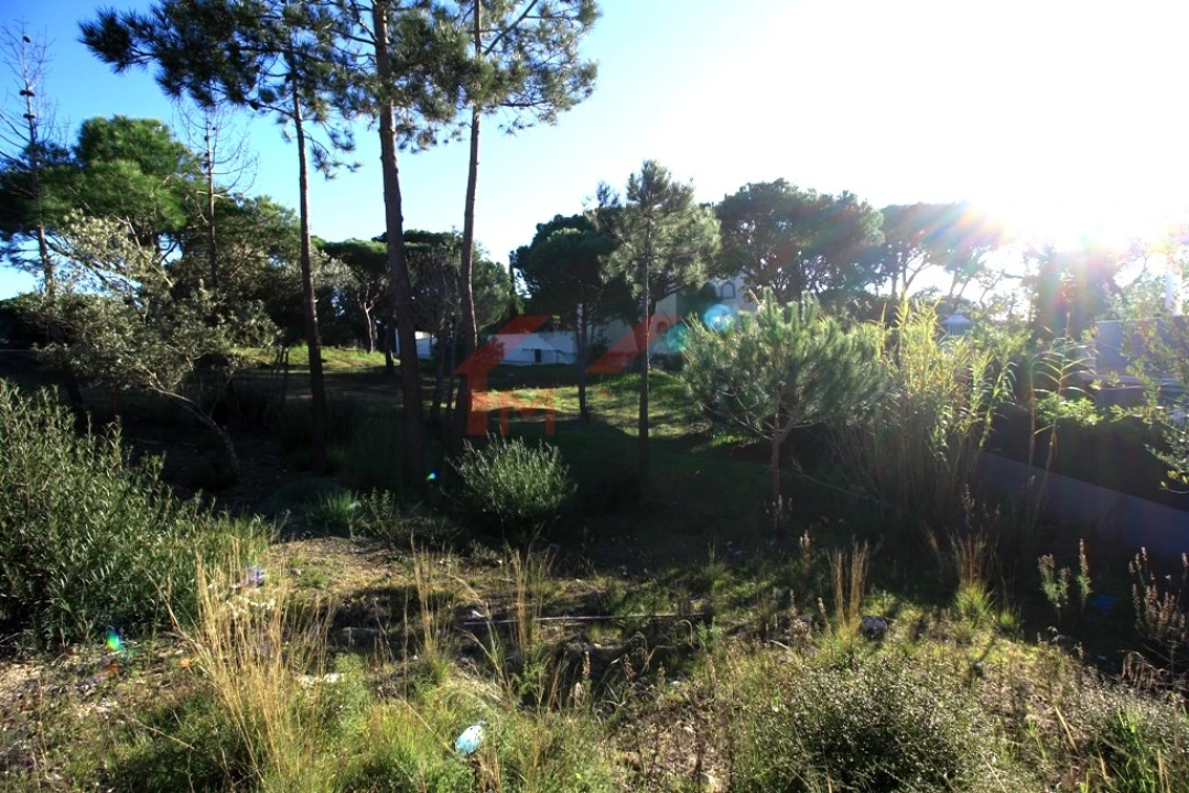 Terreno para Venda em Almancil Foto 1