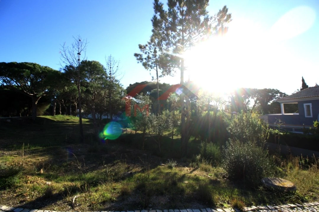 Terreno para Venda em Almancil Foto 2