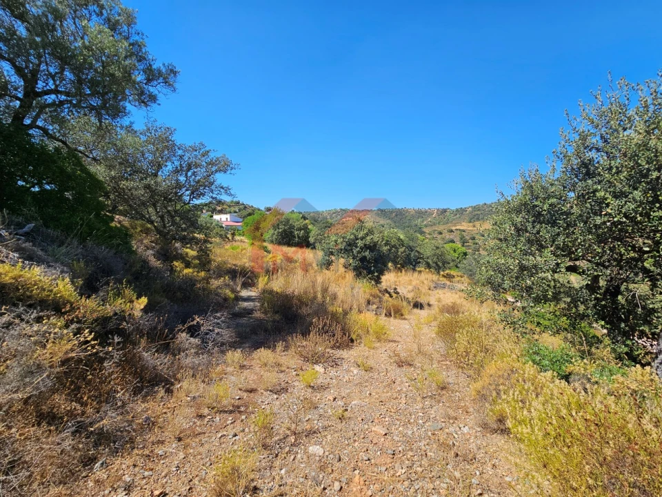 Terreno para Venda em Querença, Tôr e Benafim Foto 5