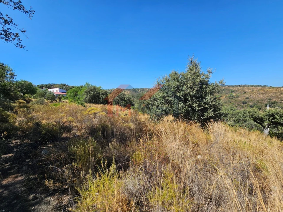 Terreno para Venda em Querença, Tôr e Benafim Foto 6