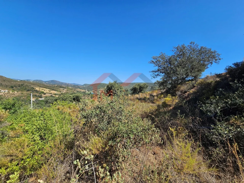Terreno para Venda em Querença, Tôr e Benafim Foto 7