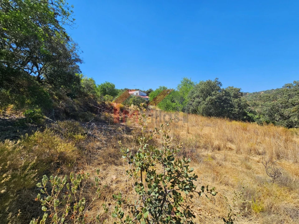 Terreno para Venda em Querença, Tôr e Benafim Foto 8