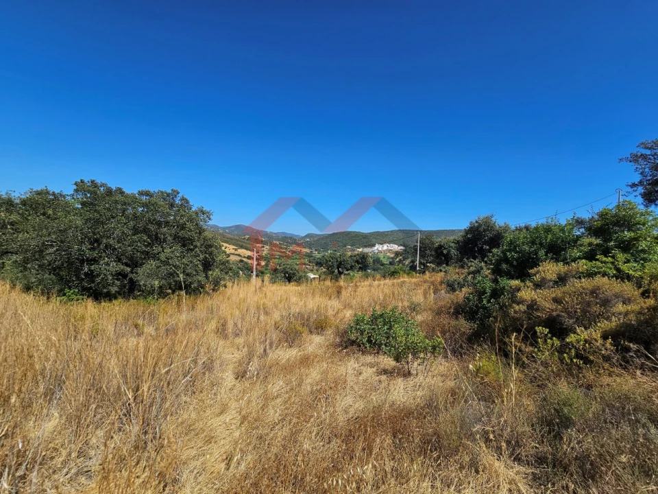 Terreno para Venda em Querença, Tôr e Benafim Foto 9