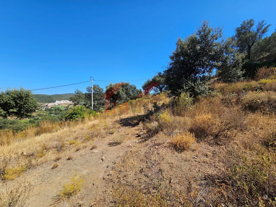 Terreno para Venda em Querença, Tôr e Benafim Foto 14