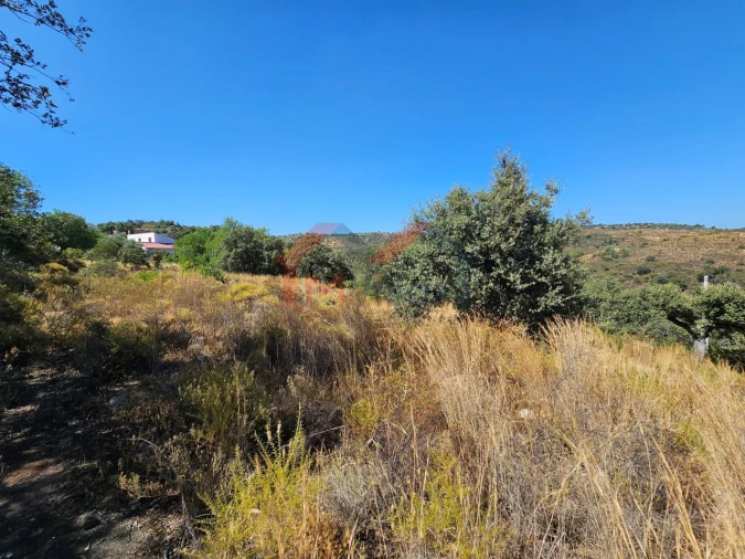Terreno para Venda em Querença, Tôr e Benafim Foto 6