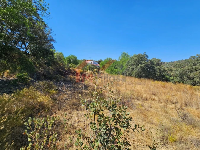 Terreno para Venda em Querença, Tôr e Benafim Foto 8