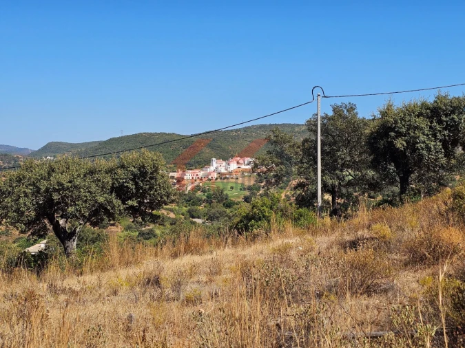 Terreno para Venda em Querença, Tôr e Benafim Foto 12