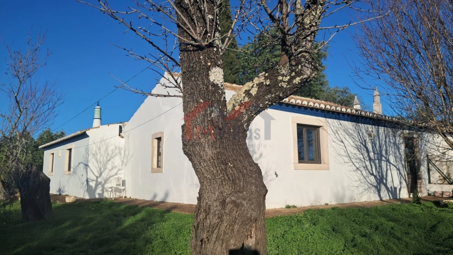 Moradia T2 para Venda em Querença, Tôr e Benafim Foto 13