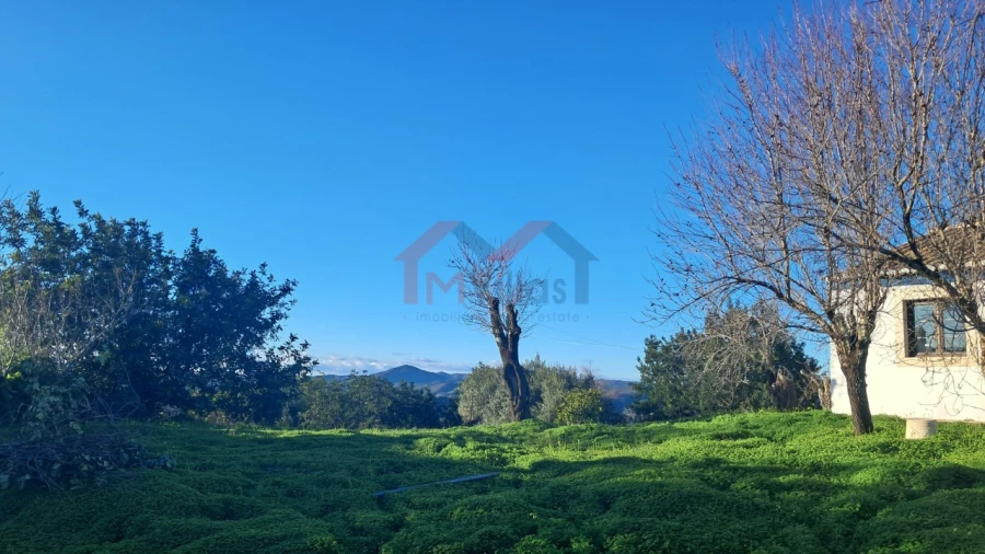 Moradia T2 para Venda em Querença, Tôr e Benafim Foto 16