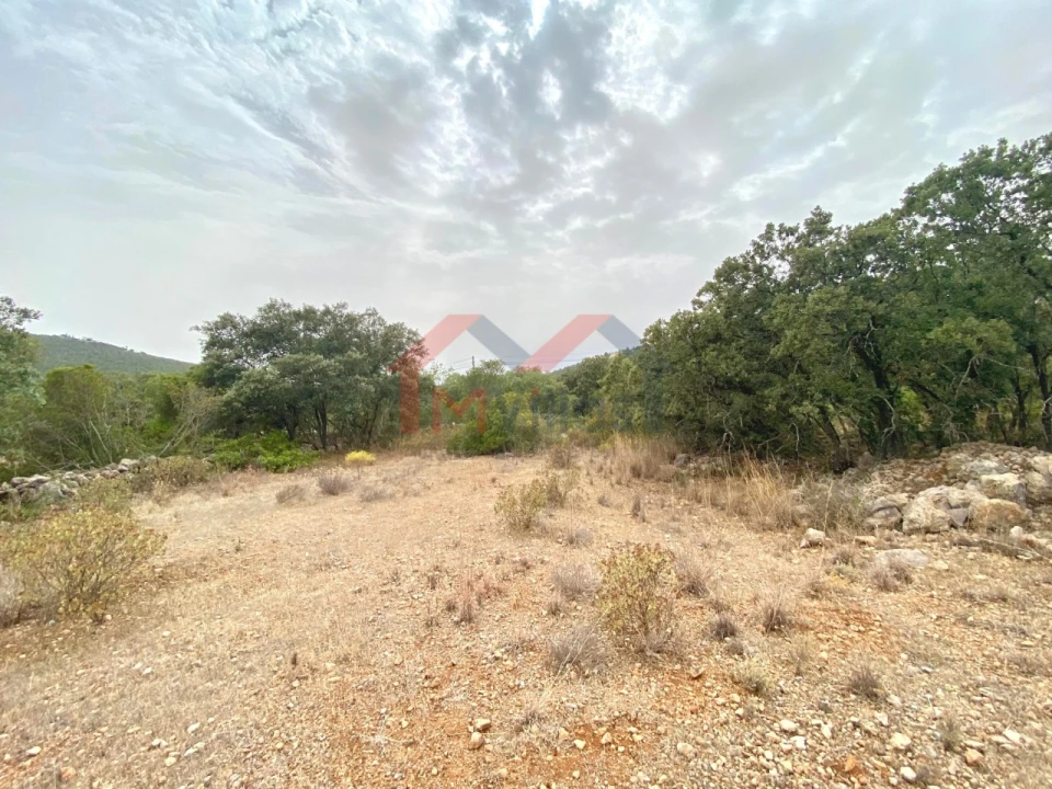 Terreno para Venda em Loule (São Clemente) Foto 5
