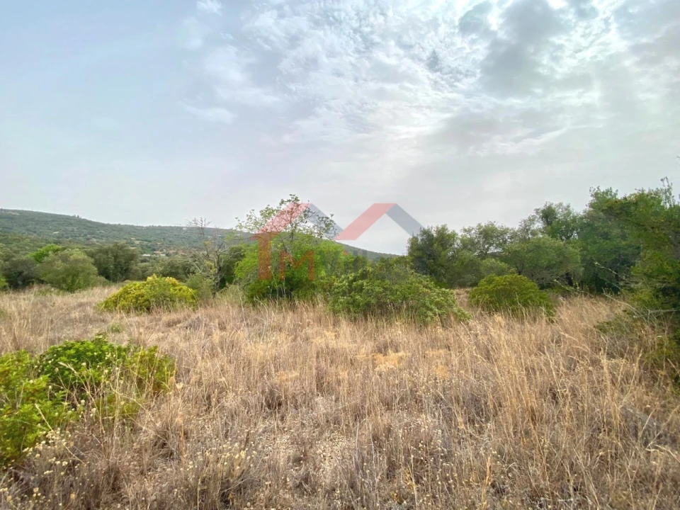 Terreno para Venda em Loule (São Clemente) Foto 6
