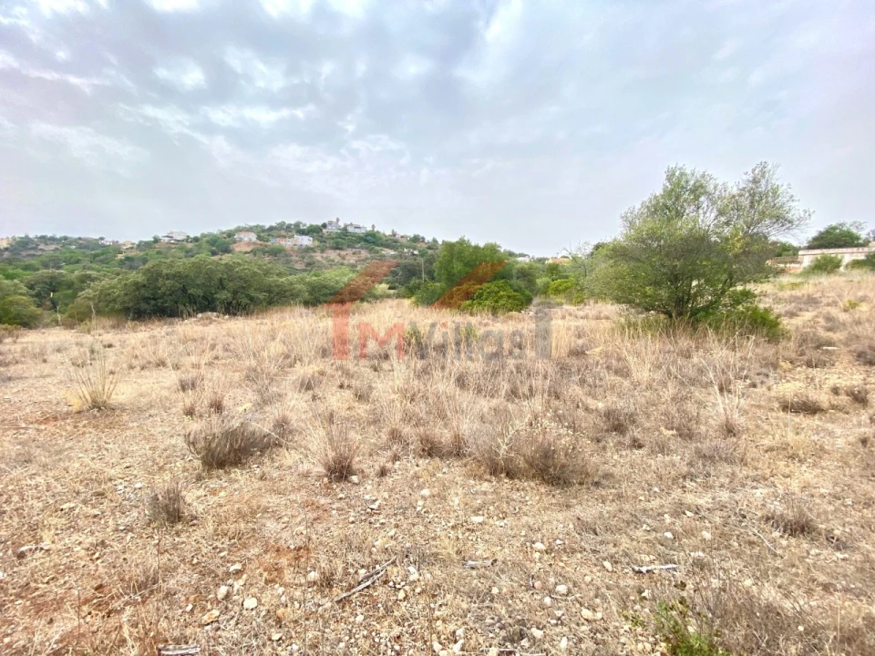 Terreno para Venda em Loule (São Clemente) Foto 7
