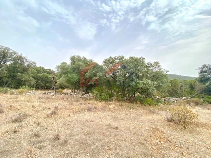 Terreno para Venda em Loule (São Clemente) Foto 4
