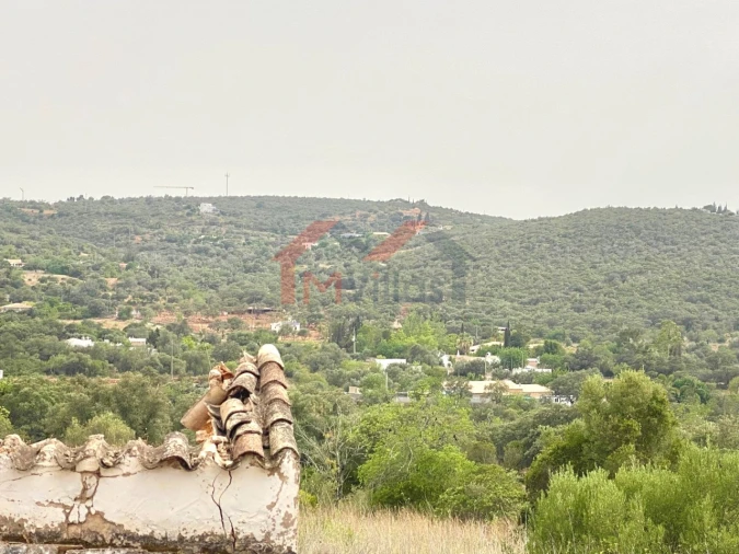 Terreno para Venda em Loule (São Clemente) Foto 2