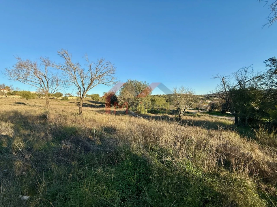 Terreno para Venda em Boliqueime Foto 5