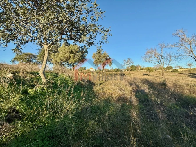 Terreno para Venda em Boliqueime Foto 6