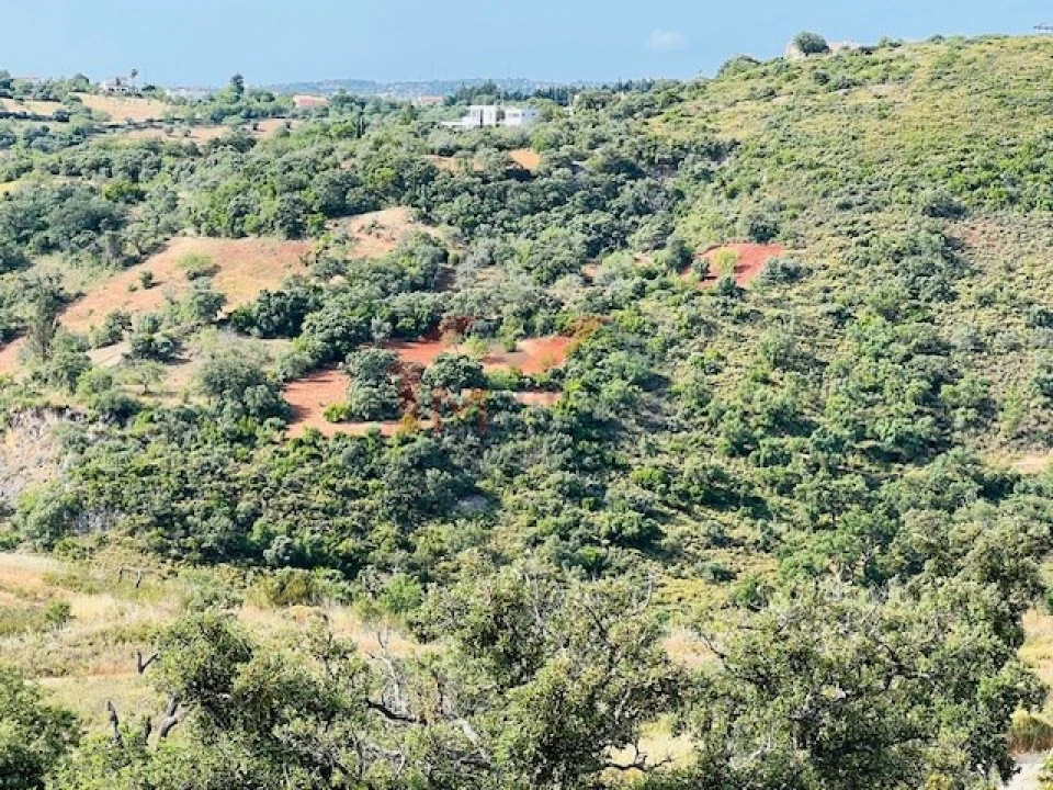 Terreno para Venda em São Brás de Alportel Foto 6