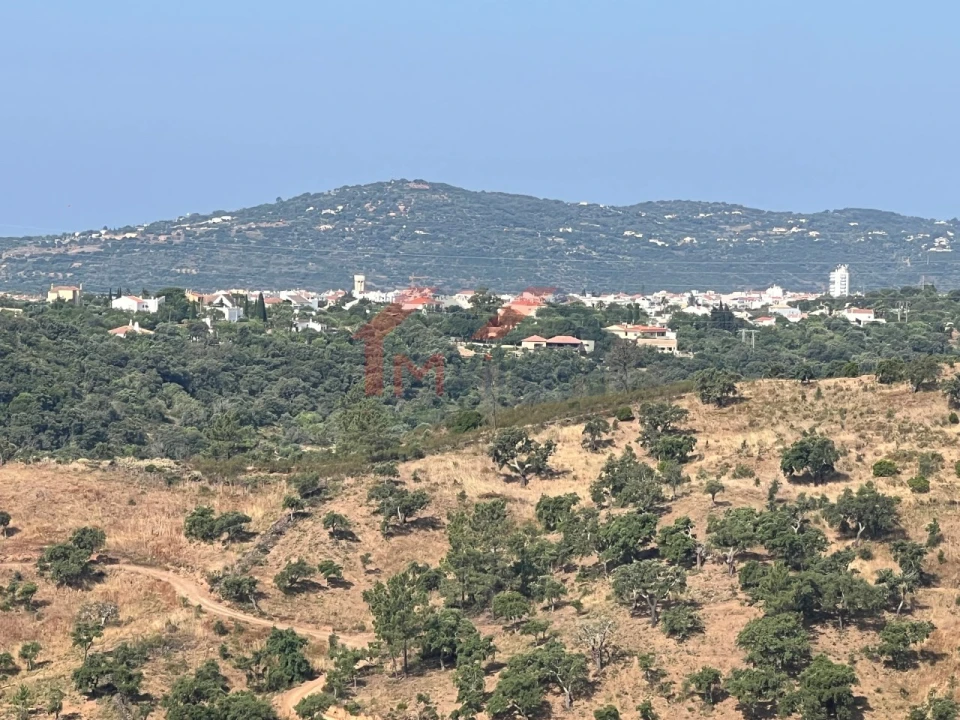 Terreno para Venda em São Brás de Alportel Foto 9