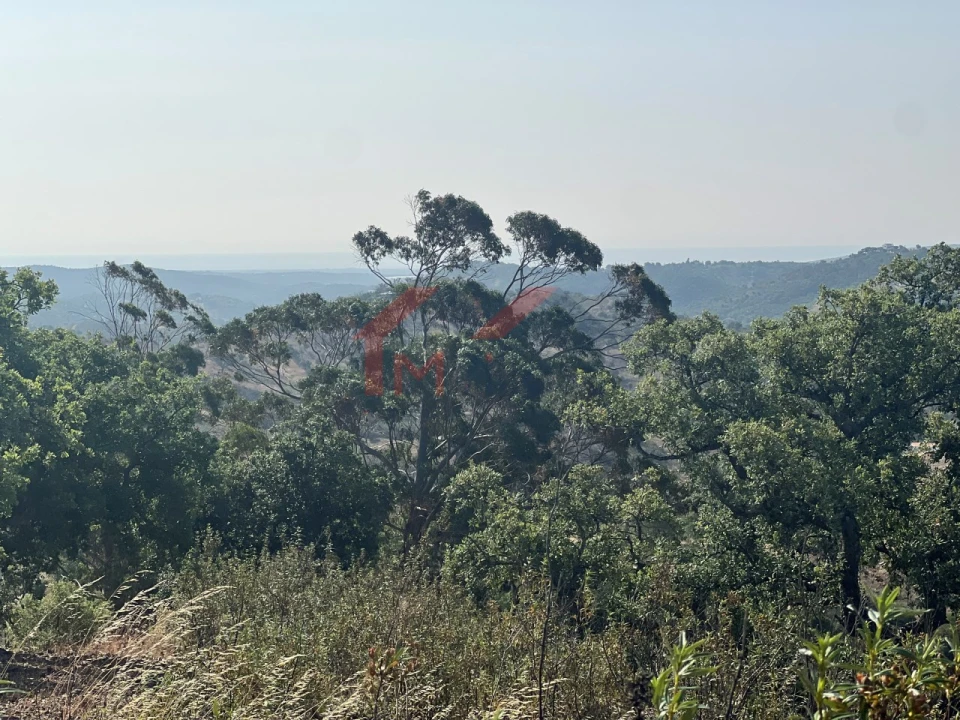 Terreno para Venda em São Brás de Alportel Foto 11