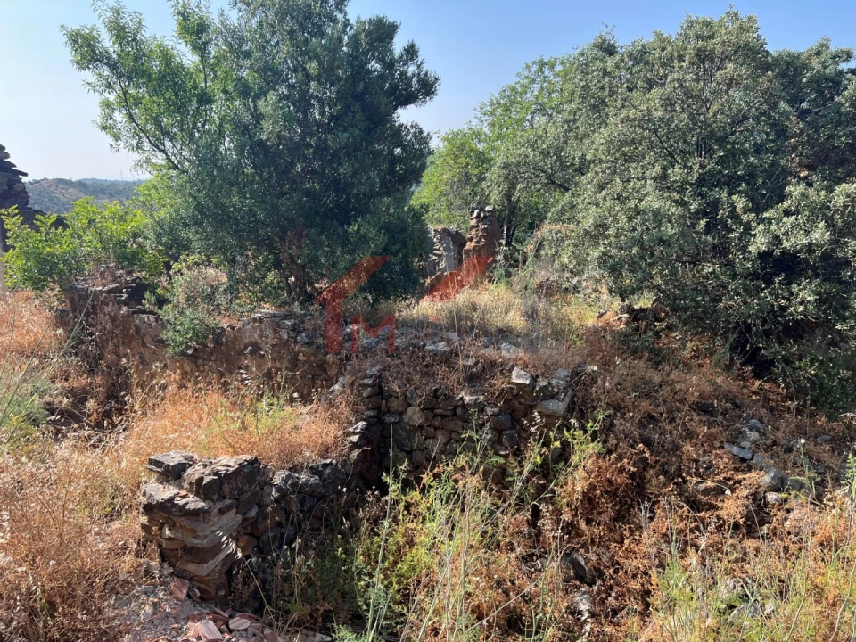 Terreno para Venda em São Brás de Alportel Foto 14
